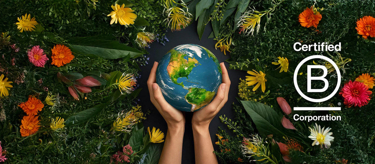 🌍 Planet B behaalt B Corp-certificaat: een mijlpaal voor duurzame impact