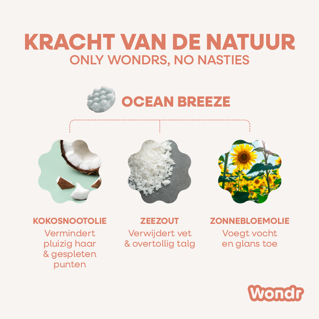 OCEAN BREEZE | Shampoo Bar