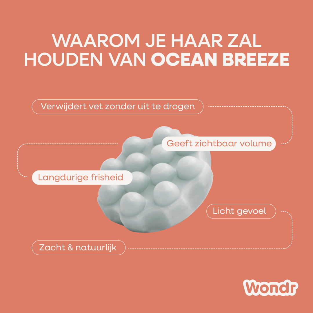 OCEAN BREEZE | Shampoo Bar
